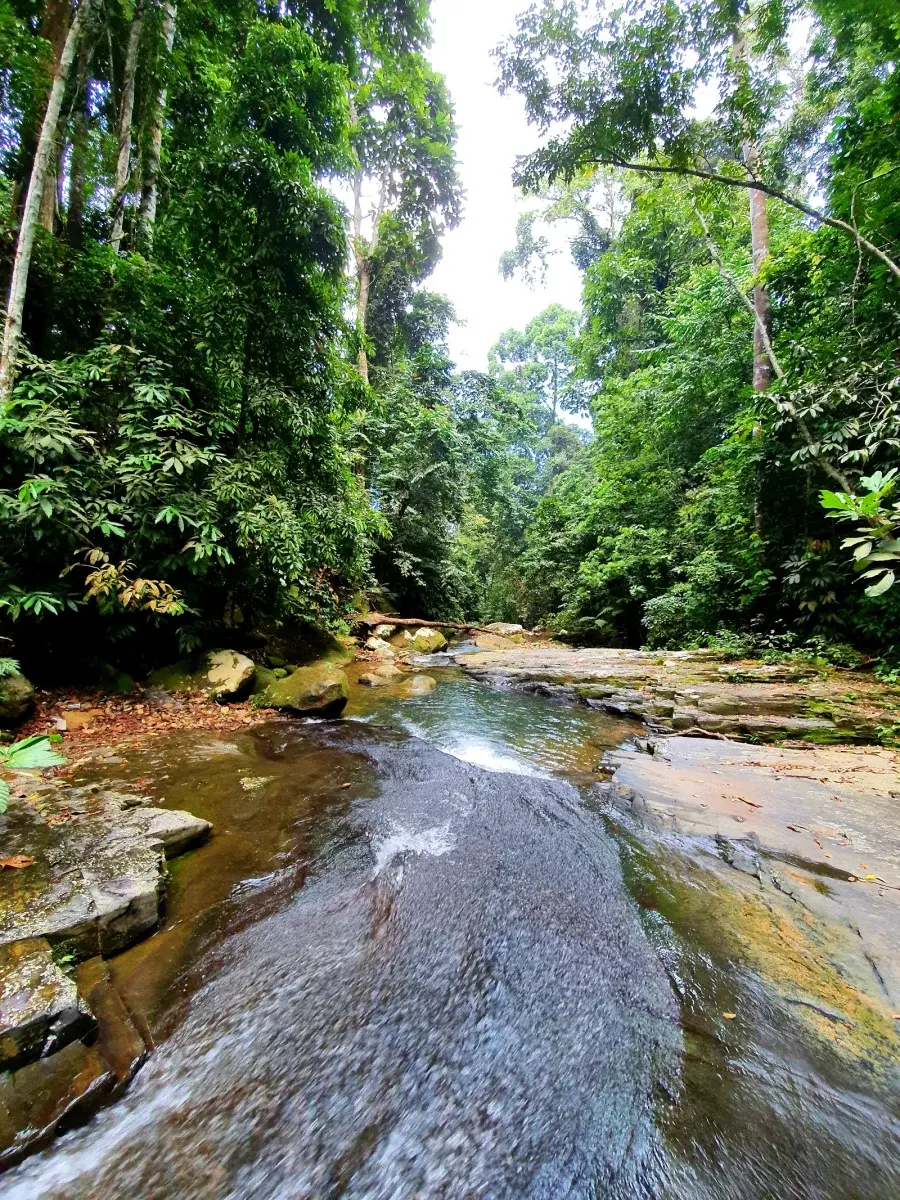 Sumber: Google Places (©2026)