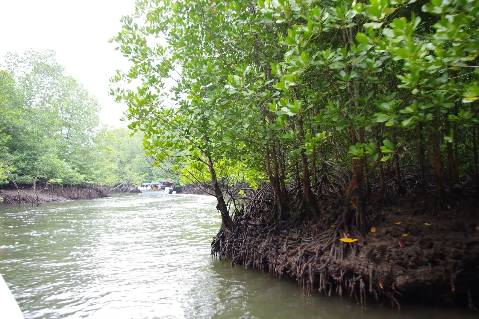 Sumber: Google Places (©2026)