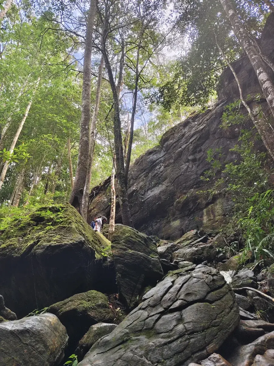 Sumber: Google Places (©2026)