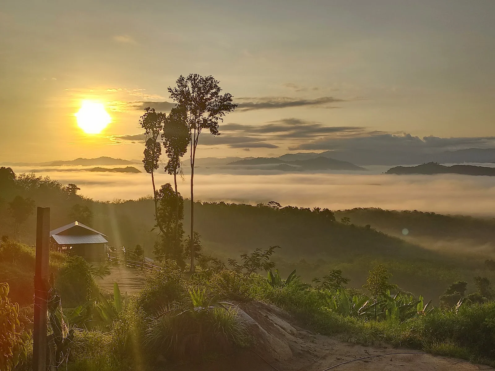 Sumber: Google Places (©2026)