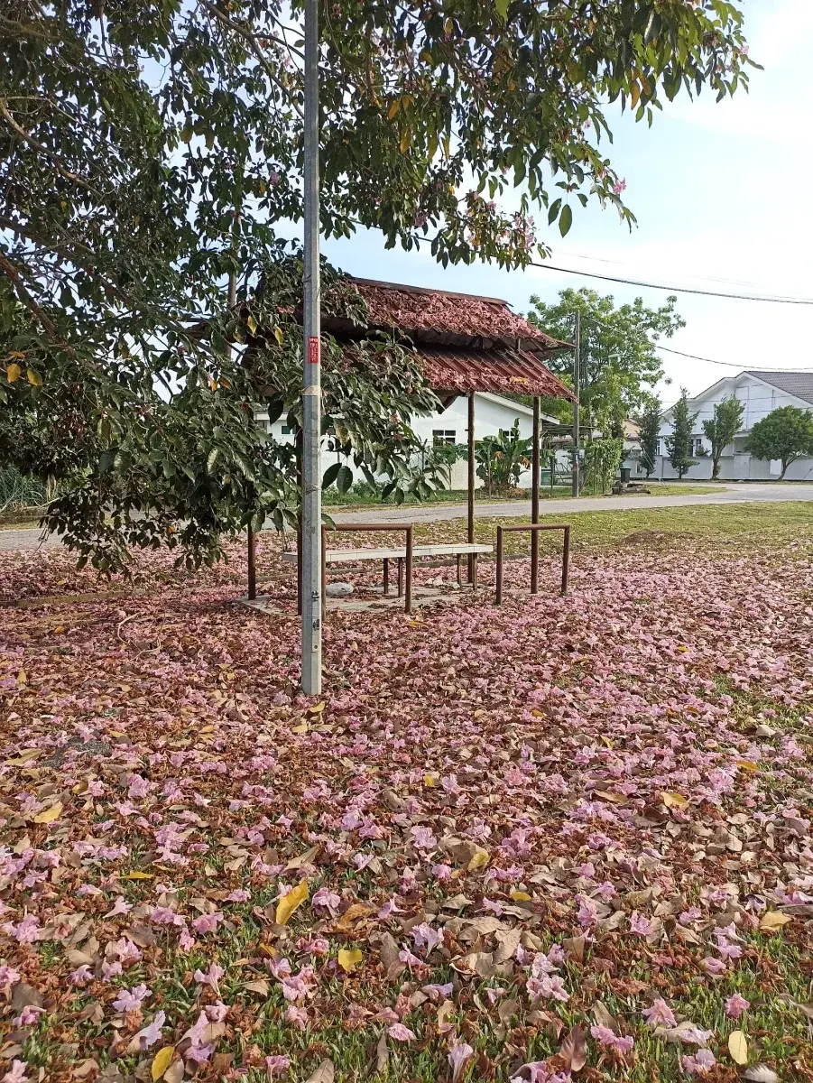 Sumber: Google Places (©2026)