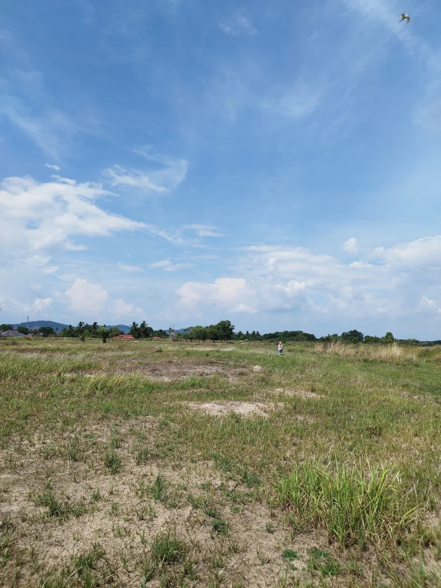 Sumber: Google Places (©2026)