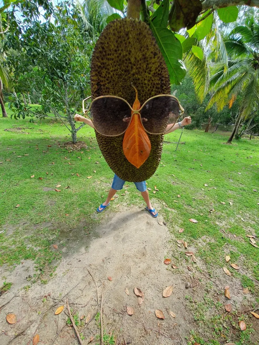 Sumber: Google Places (©2026)