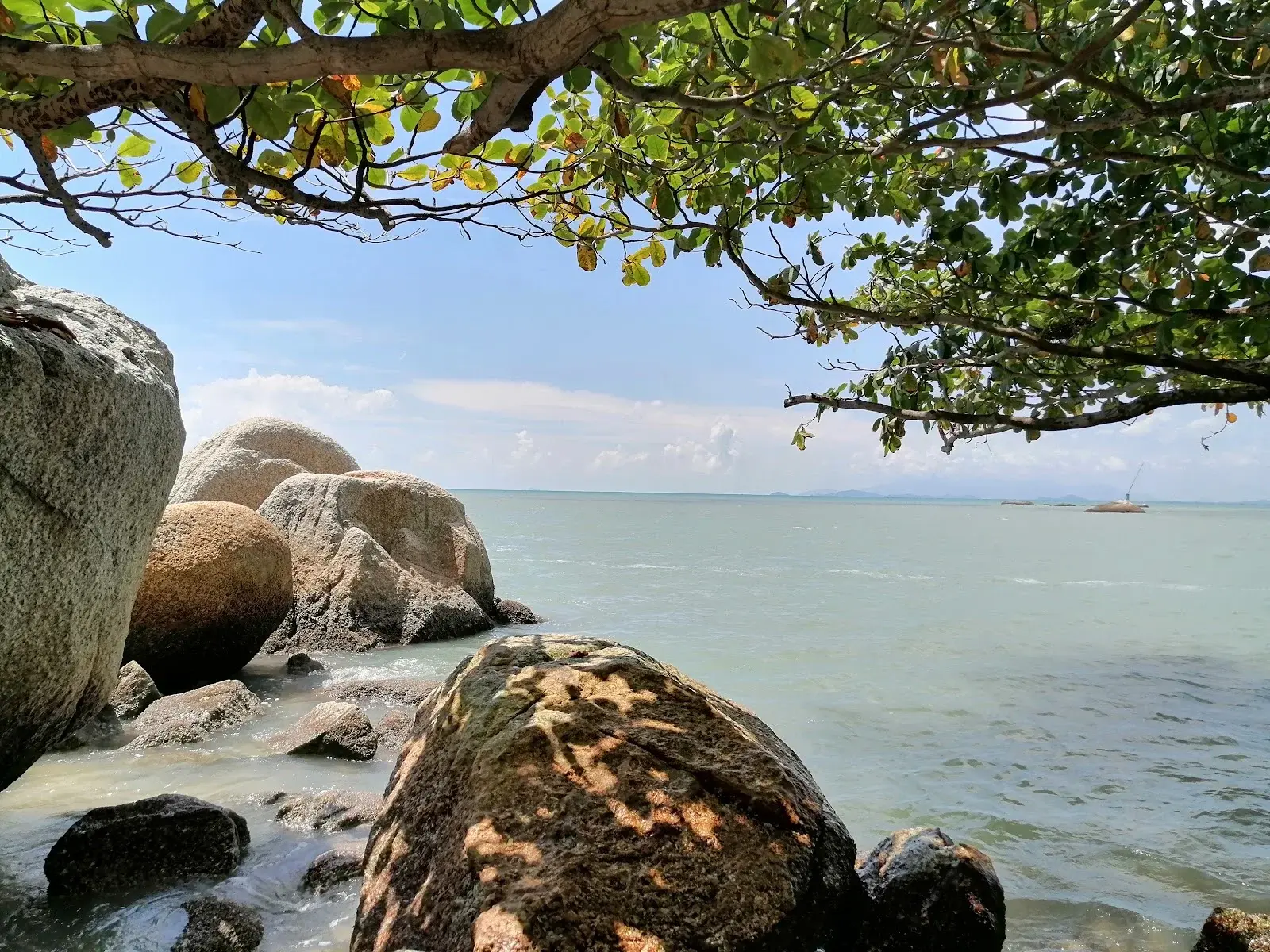 Sumber: Google Places (©2026)