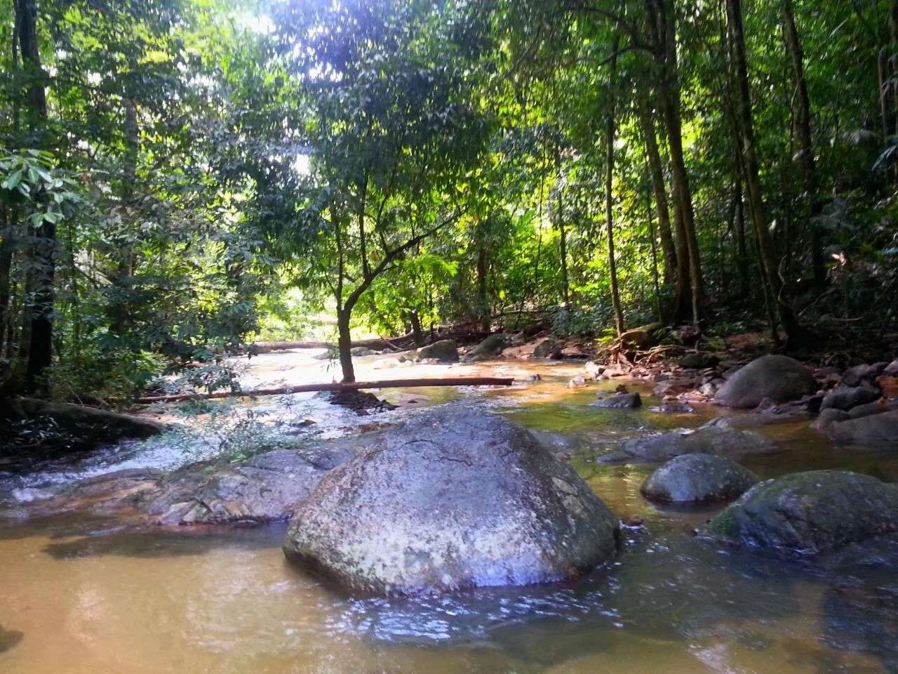 Sumber: Google Places (©2026)