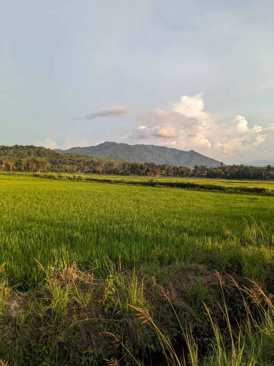 Sumber: Google Places (©2026)