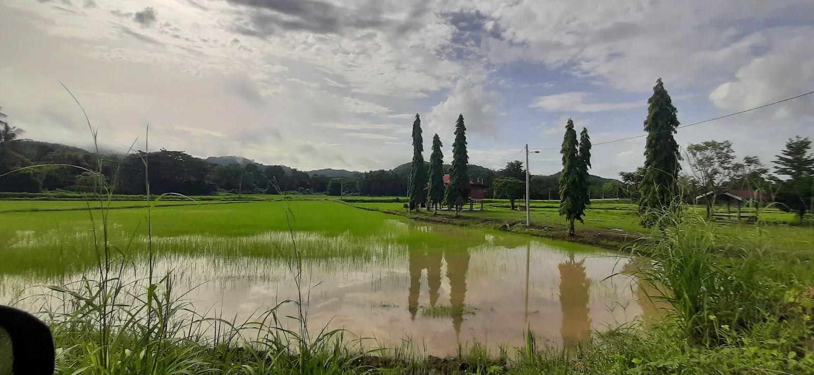 Sumber: Google Places (©2026)