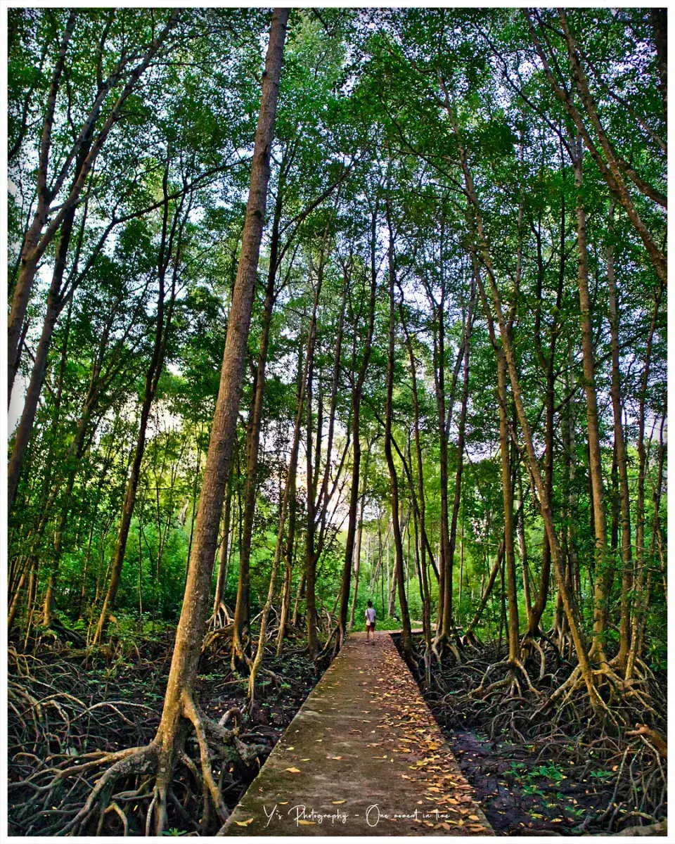 Sumber: Google Places (©2026)