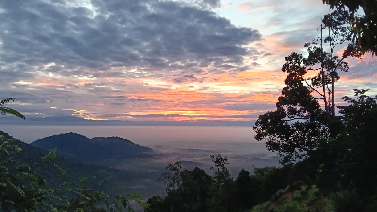Sumber: Google Places (©2026)