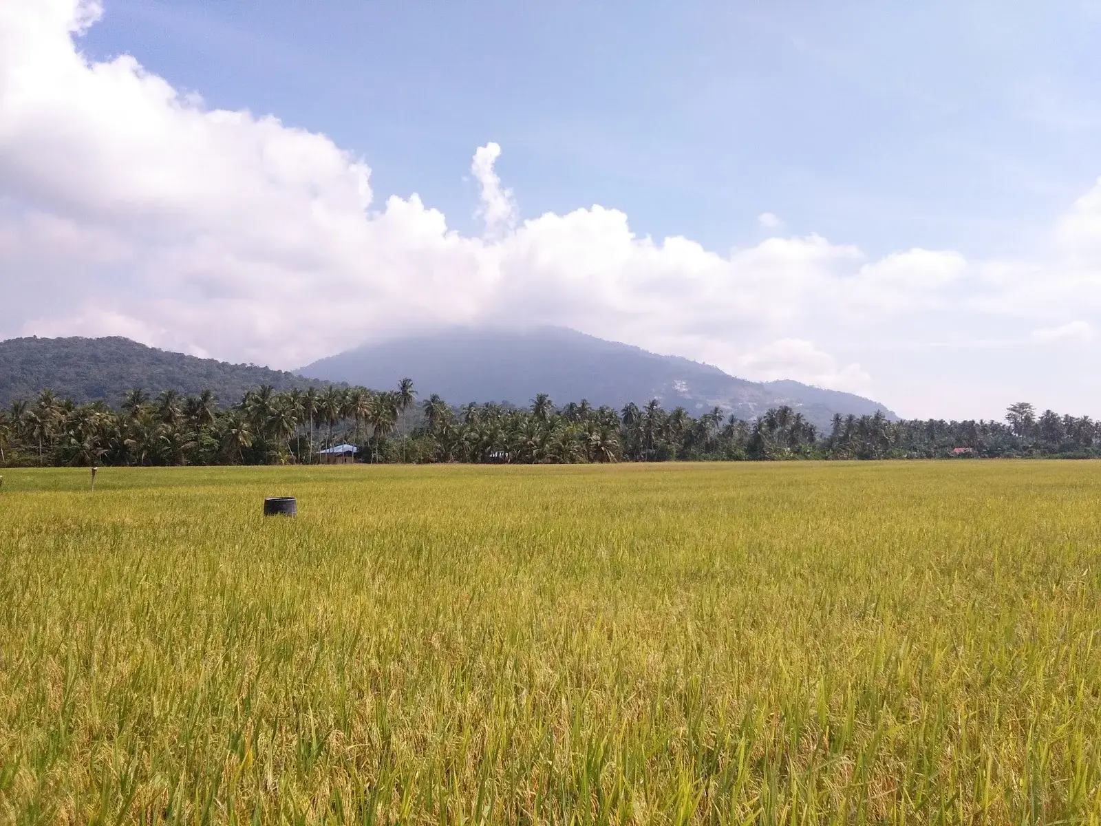 Sumber: Google Places (©2026)