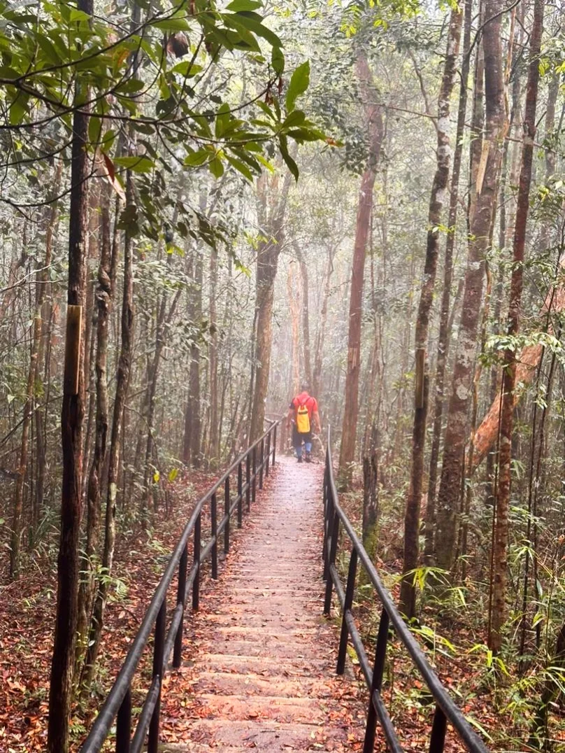 Sumber: Google Places (©2026)