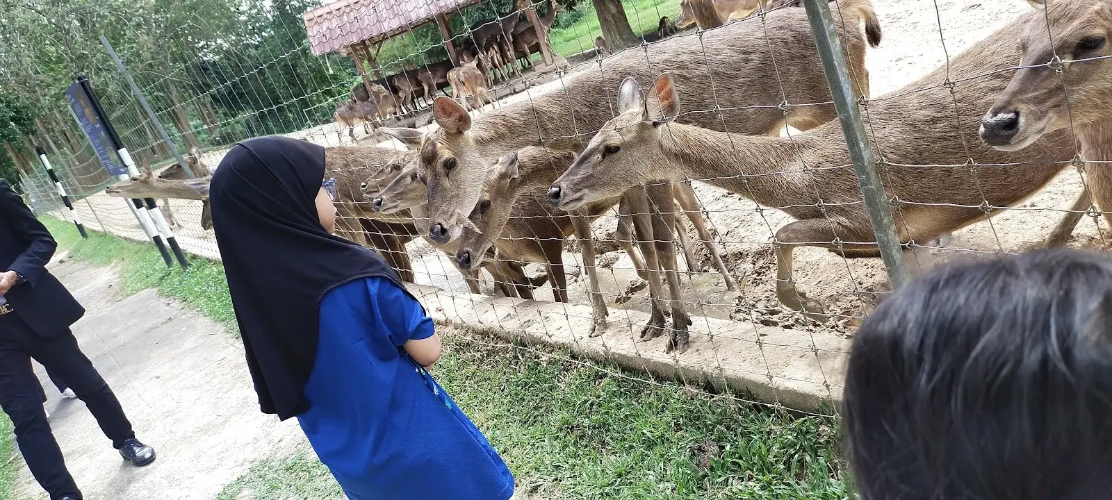 Sumber: Google Places (©2026)