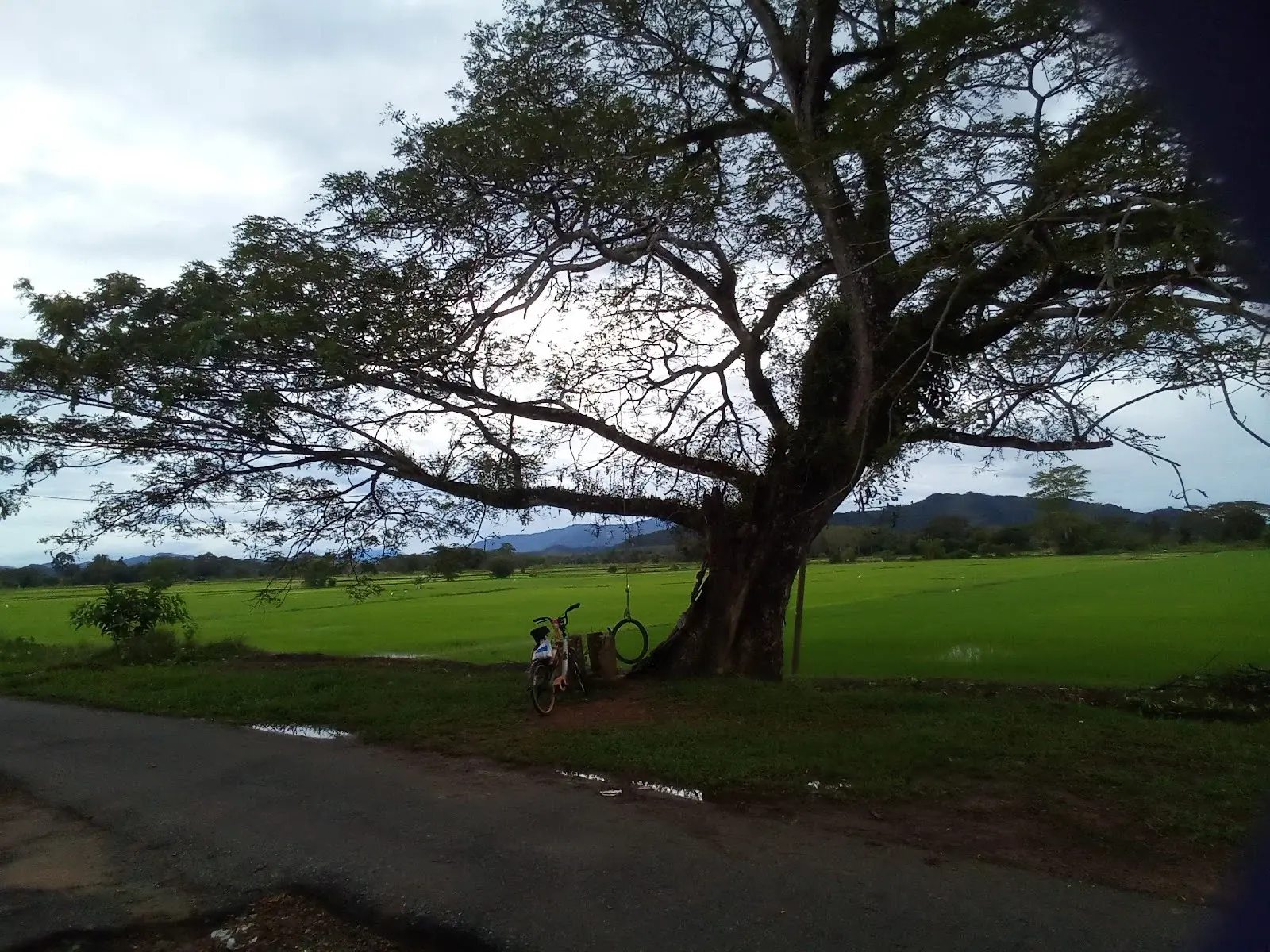 Sumber: Google Places (©2026)