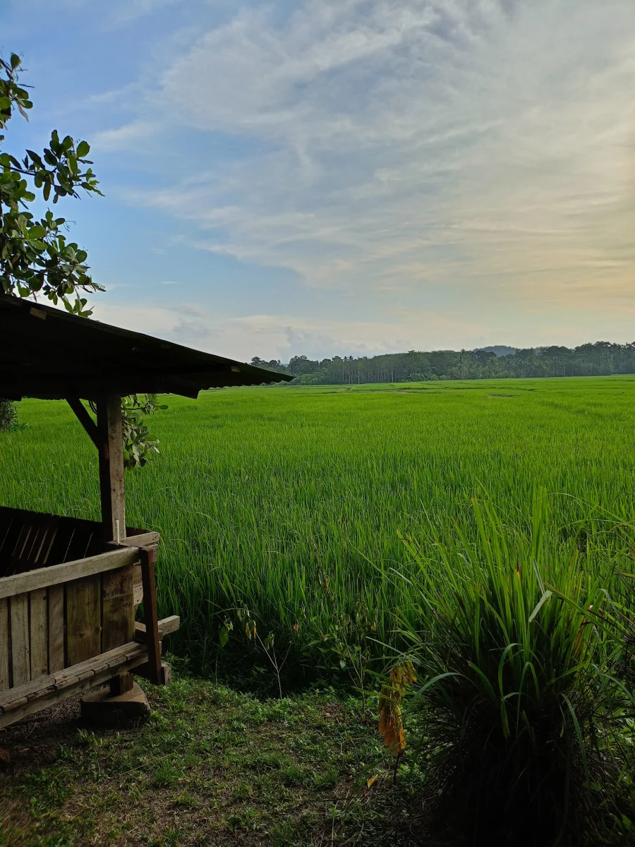 Sumber: Google Places (©2026)