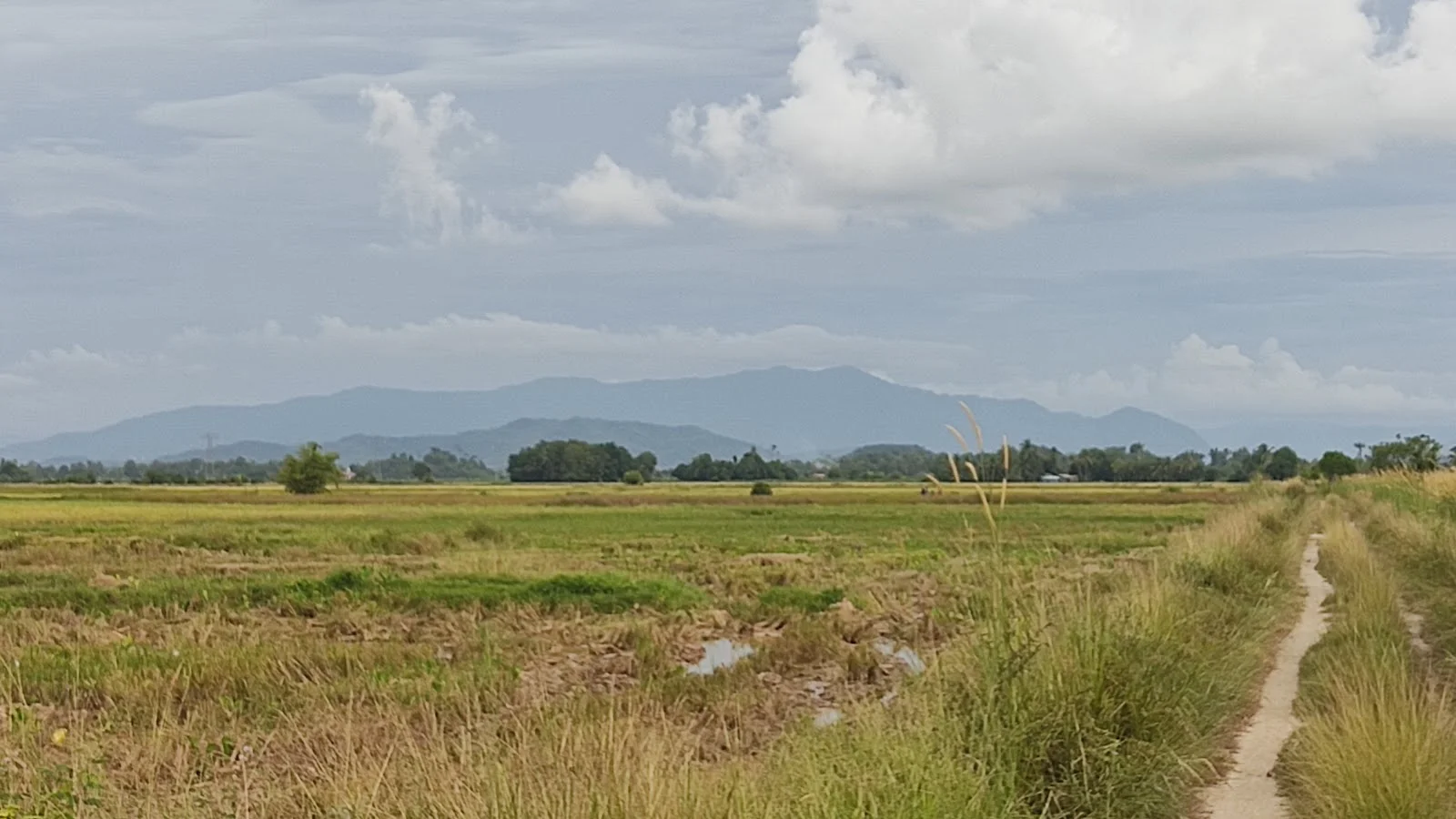 Sumber: Google Places (©2026)
