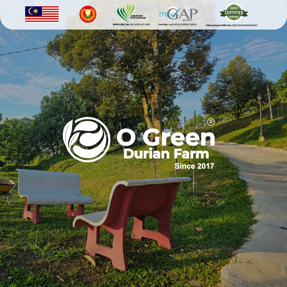 Sumber: Google Places (©2026)