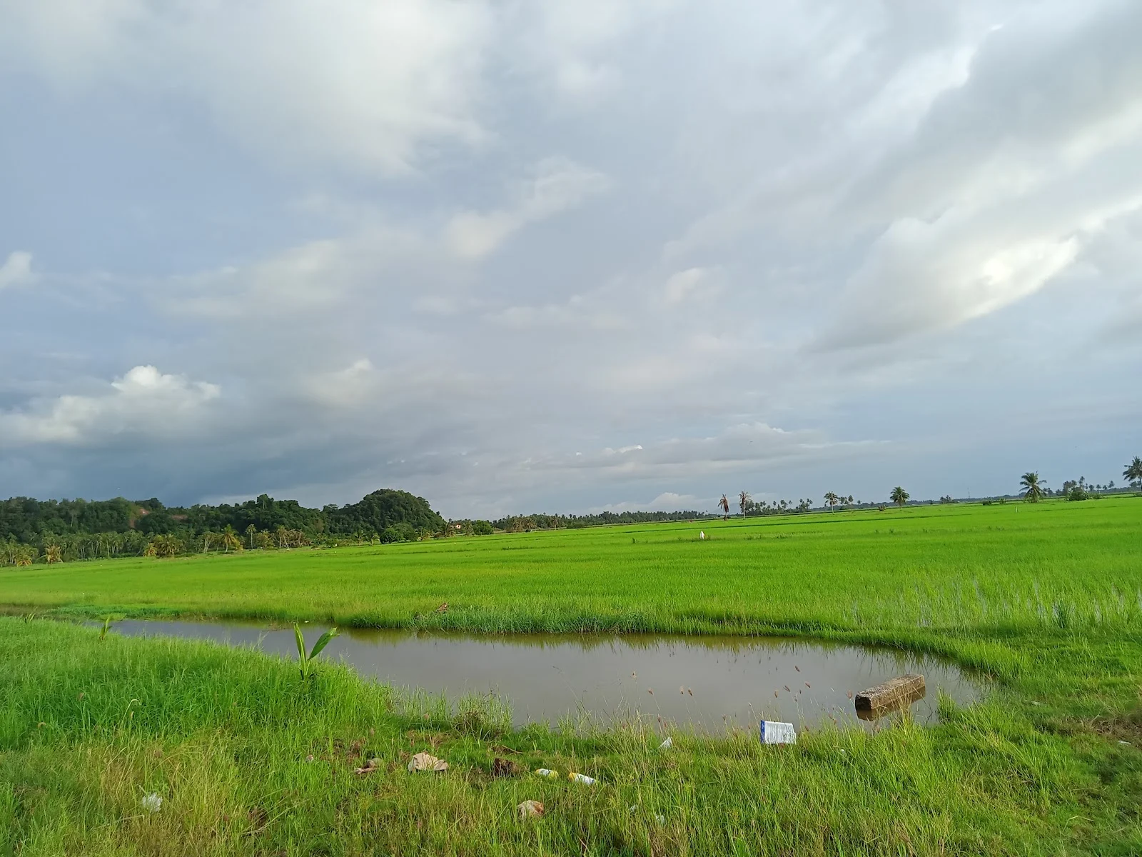 Sumber: Google Places (©2026)