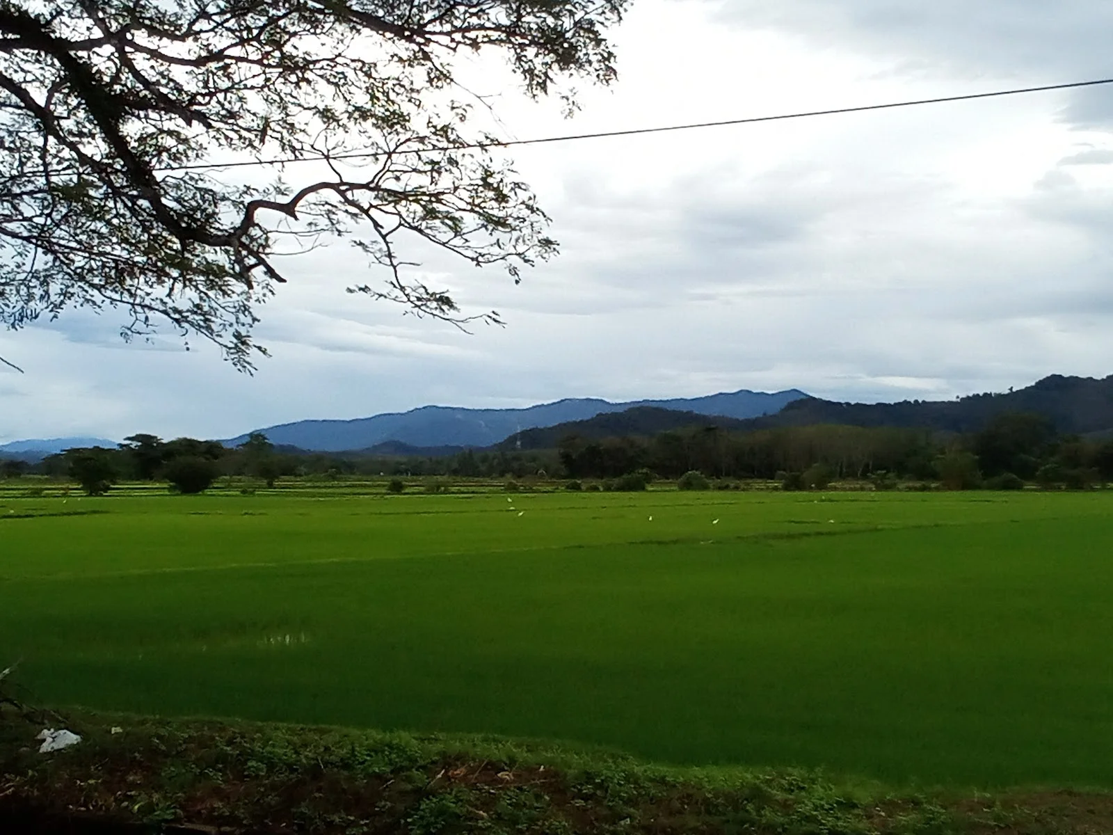 Sumber: Google Places (©2026)