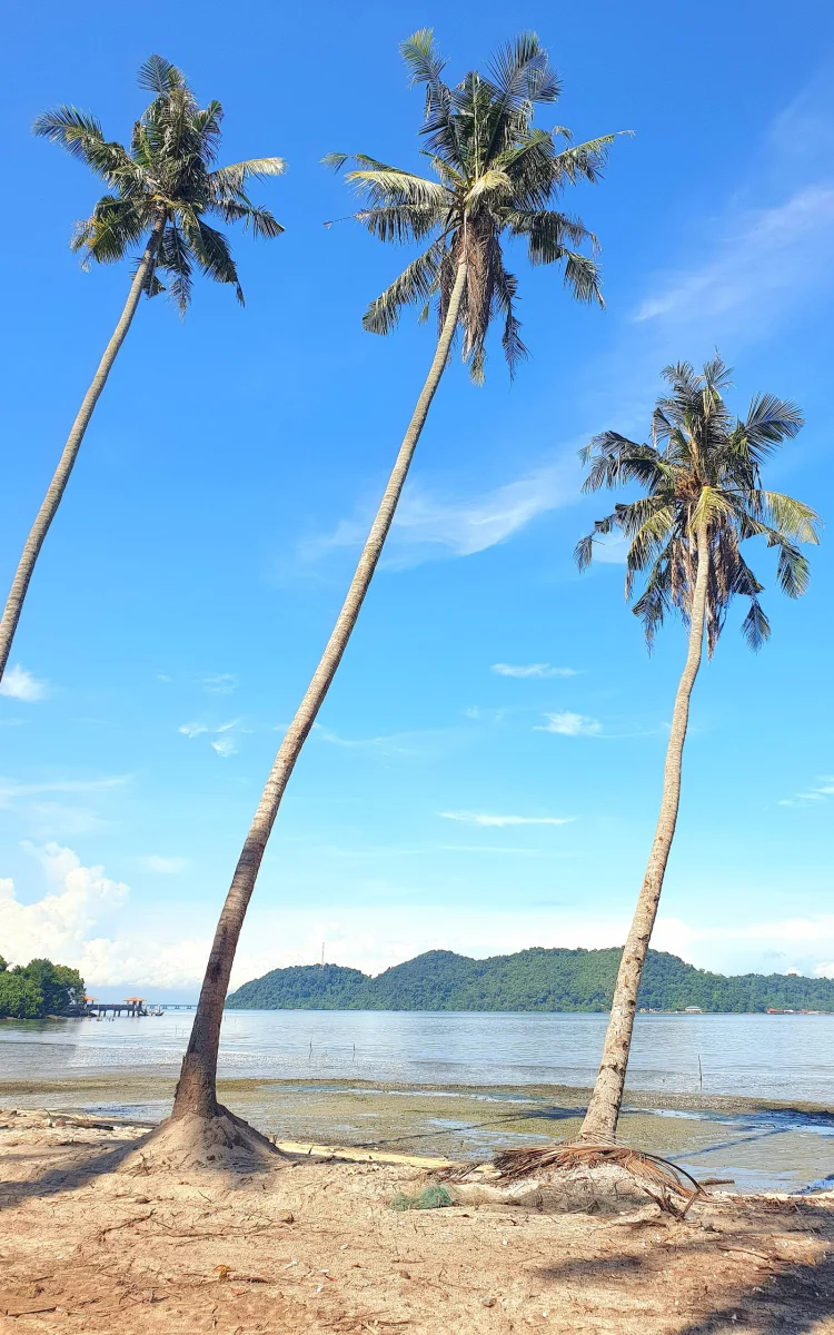 Sumber: Google Places (©2026)