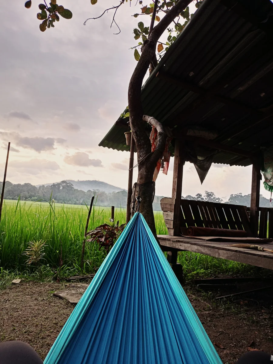 Sumber: Google Places (©2026)