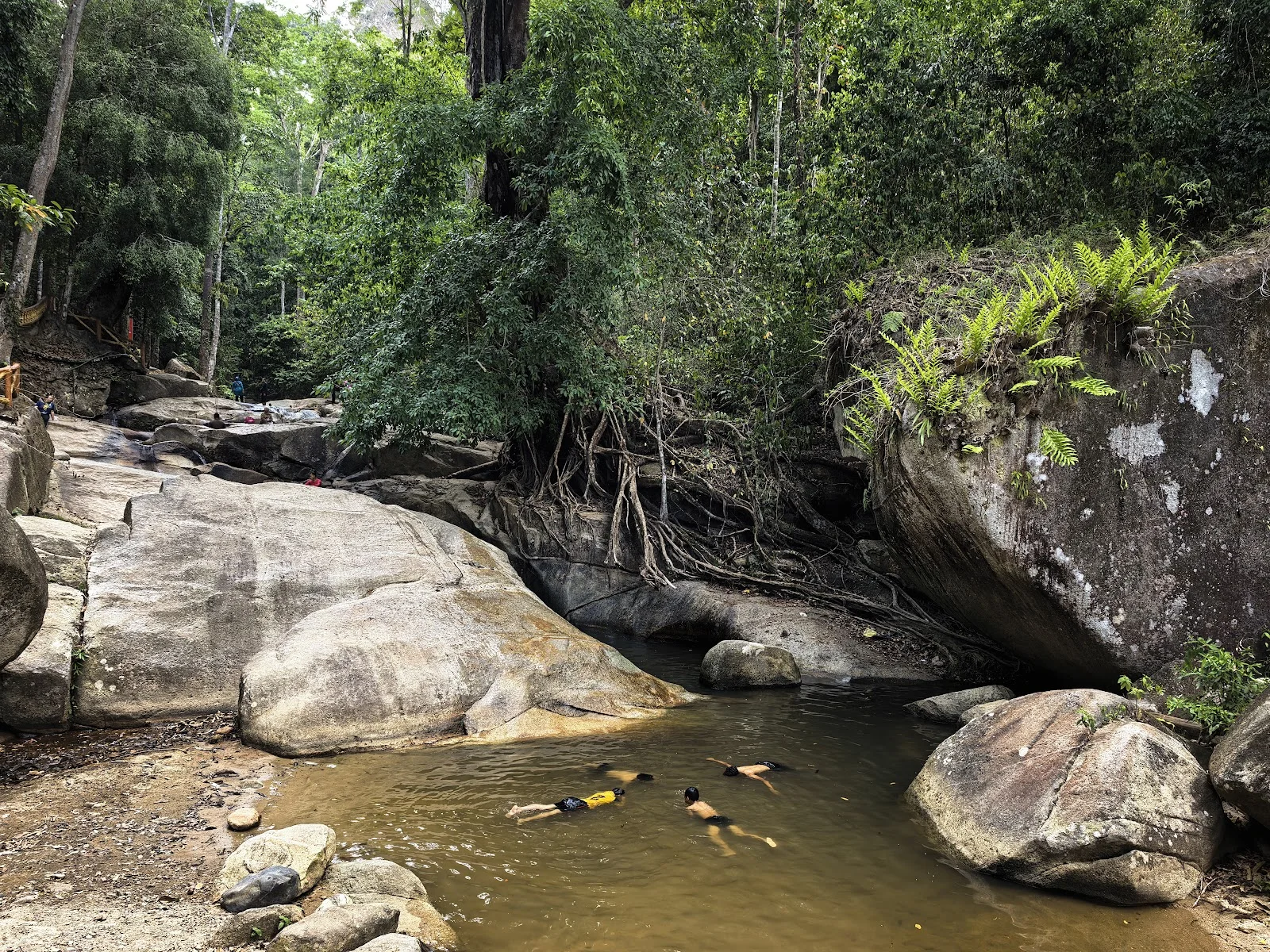 Hutan Lipur Puncak Janing