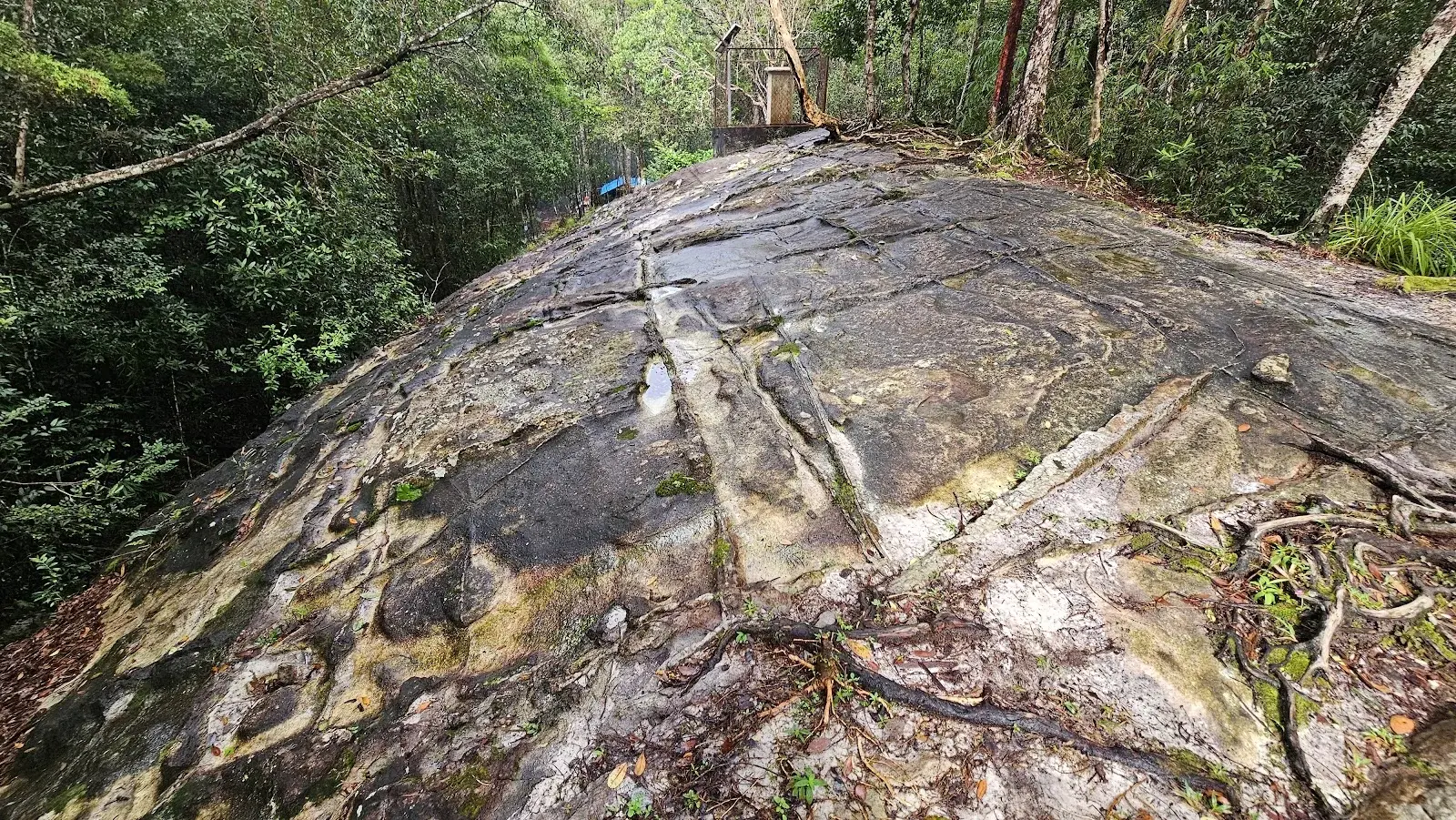 Sumber: Google Places (©2026)