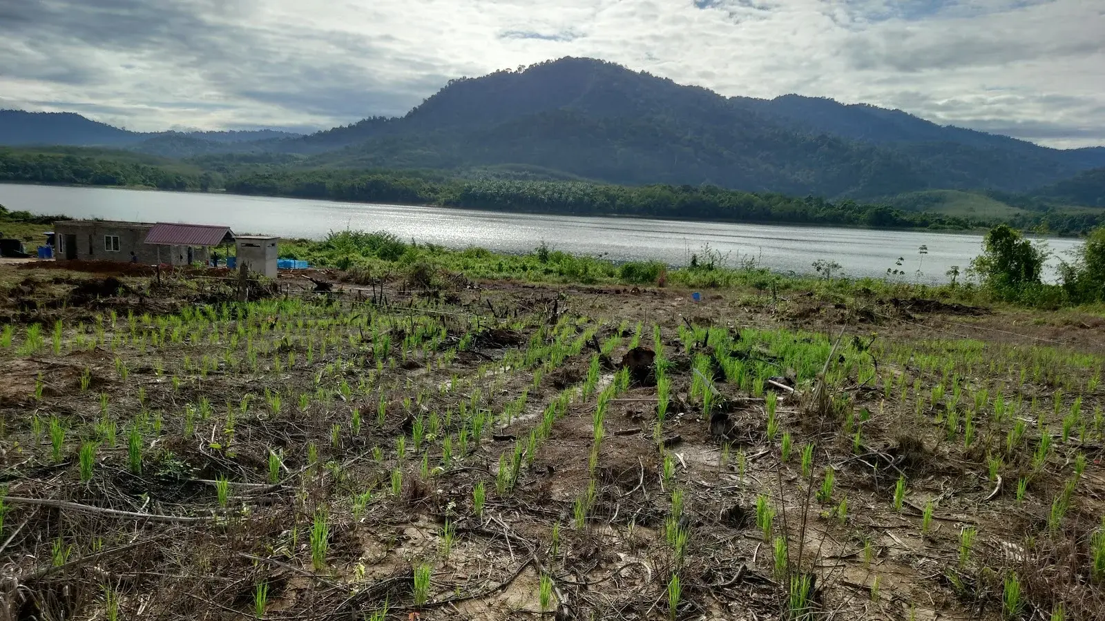 Sumber: Google Places (©2026)