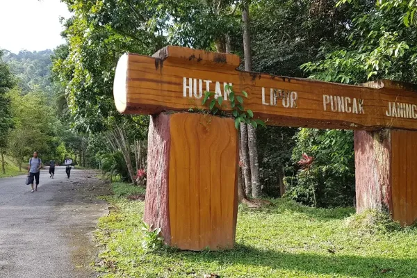 Air Terjun Puncak Janing