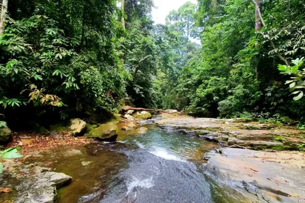 Sumber: Google Places (©2026) #2