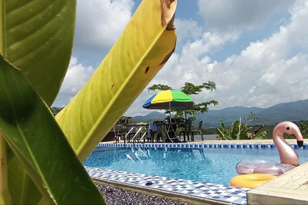 CbH Resort & Agrofarm