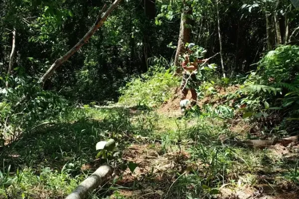 Sumber: Google Places (©2026) #3