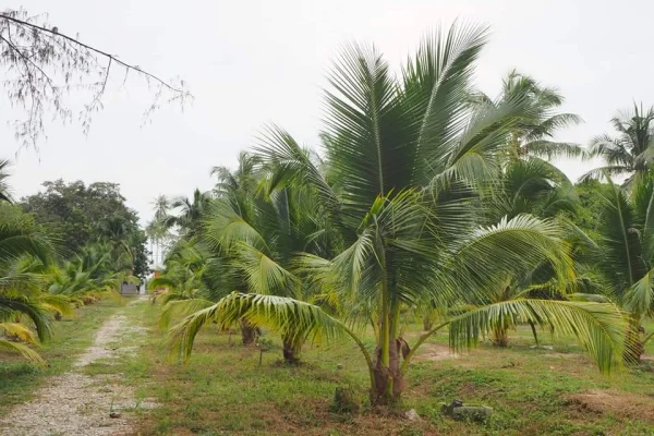 Sumber: Google Places (©2026) #2