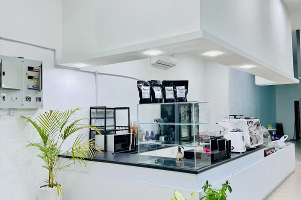 Nomad Kopifi Sik