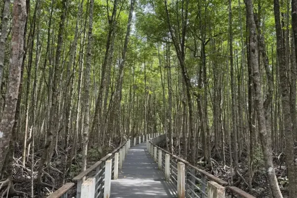 Sumber: Google Places (©2026) #2