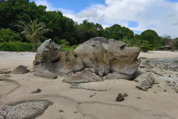 Sumber: Google Places (©2026) #2