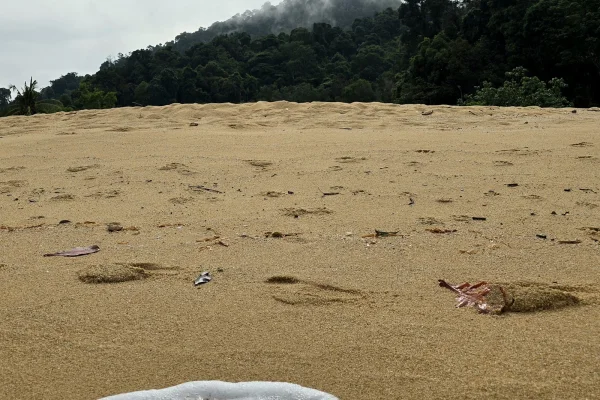 Sumber: Google Places (©2026) #3