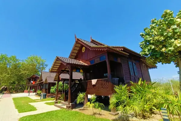 DIMA Garden