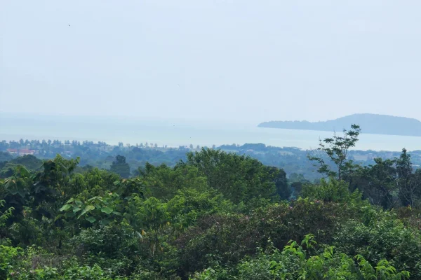 Sumber: Google Places (©2026) #3