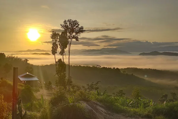 Sumber: Google Places (©2026) #2