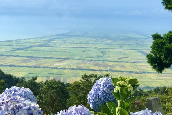 Sumber: Google Places (©2026) #3