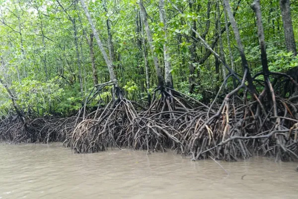 Sumber: Google Places (©2026) #3