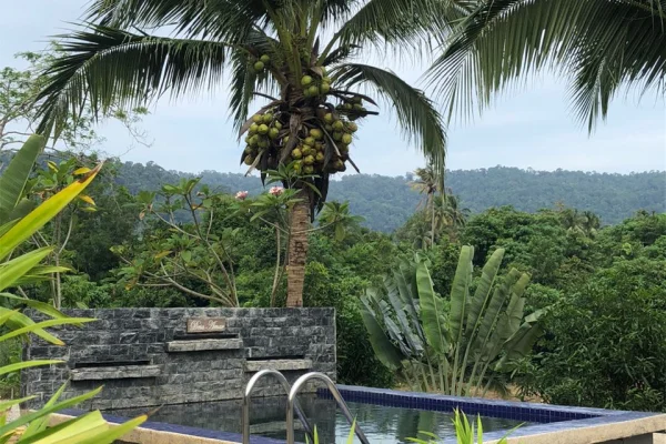 Sumber: Google Places (©2026) #2
