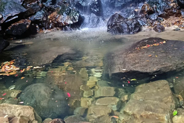 Sumber: Google Places (©2026) #2