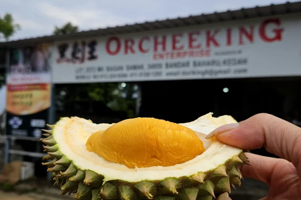 Sumber: Google Places (©2026) #3