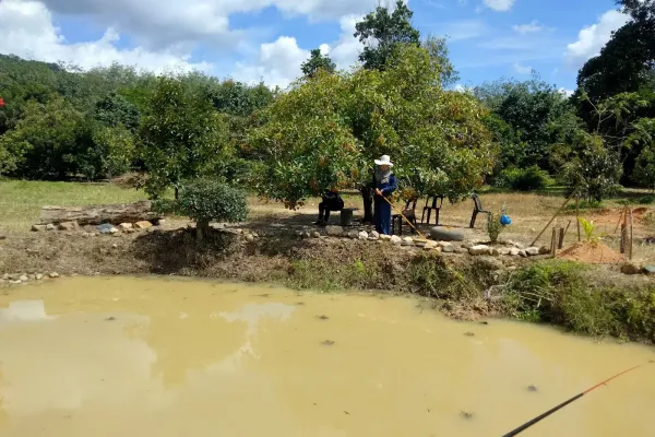 Permai Orchard Of Perik