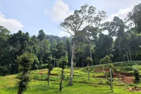 Sumber: Google Places (©2026) #2