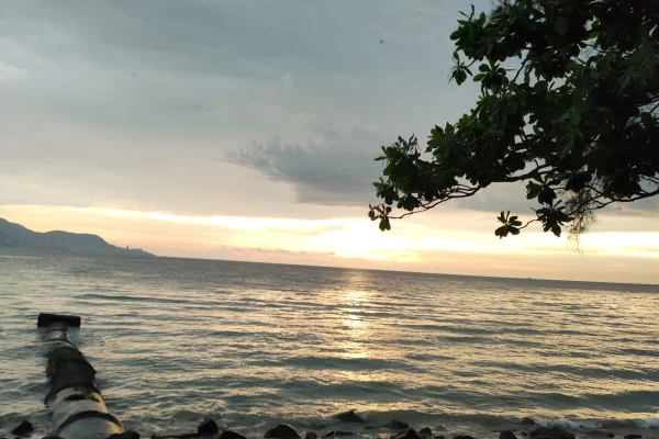 Sumber: Google Places (©2026) #2