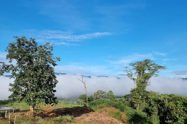 Sumber: Google Places (©2026) #3