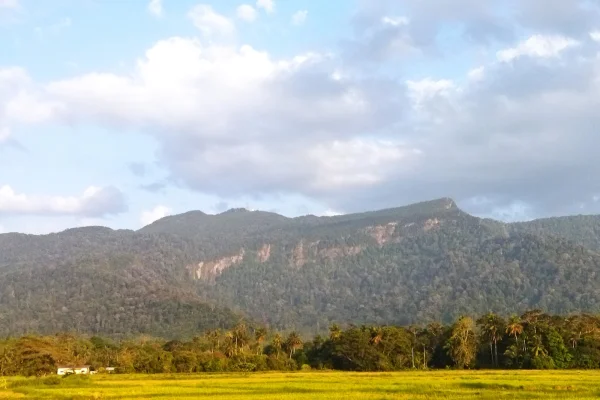 Gunung Jerai