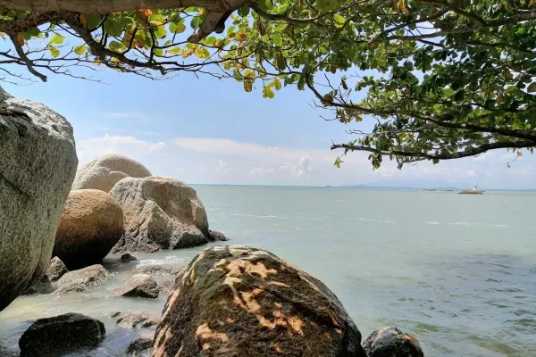 Sumber: Google Places (©2026) #2